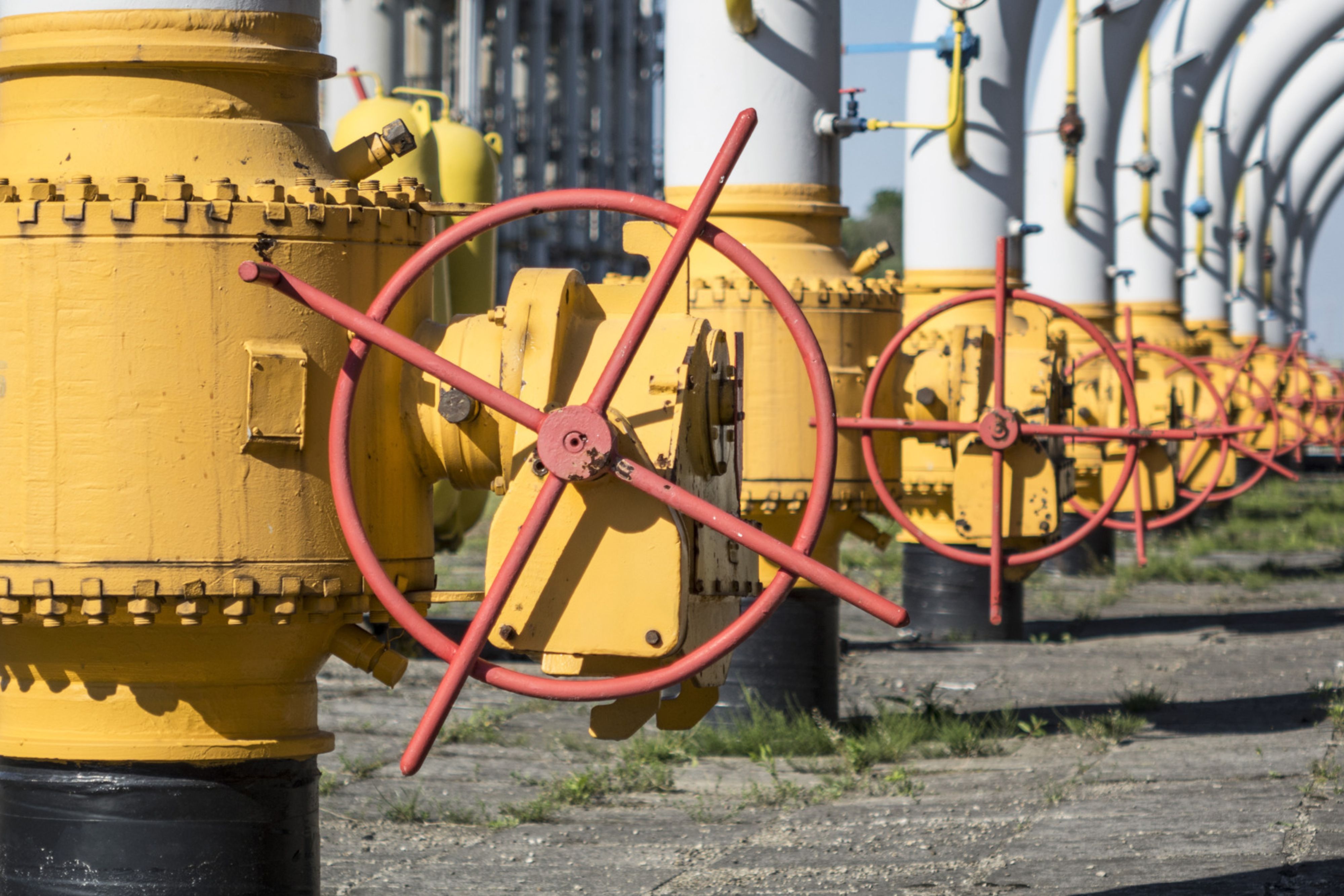 Channel Checks On Gas Demand, CGD Trends: Nirmal Bang