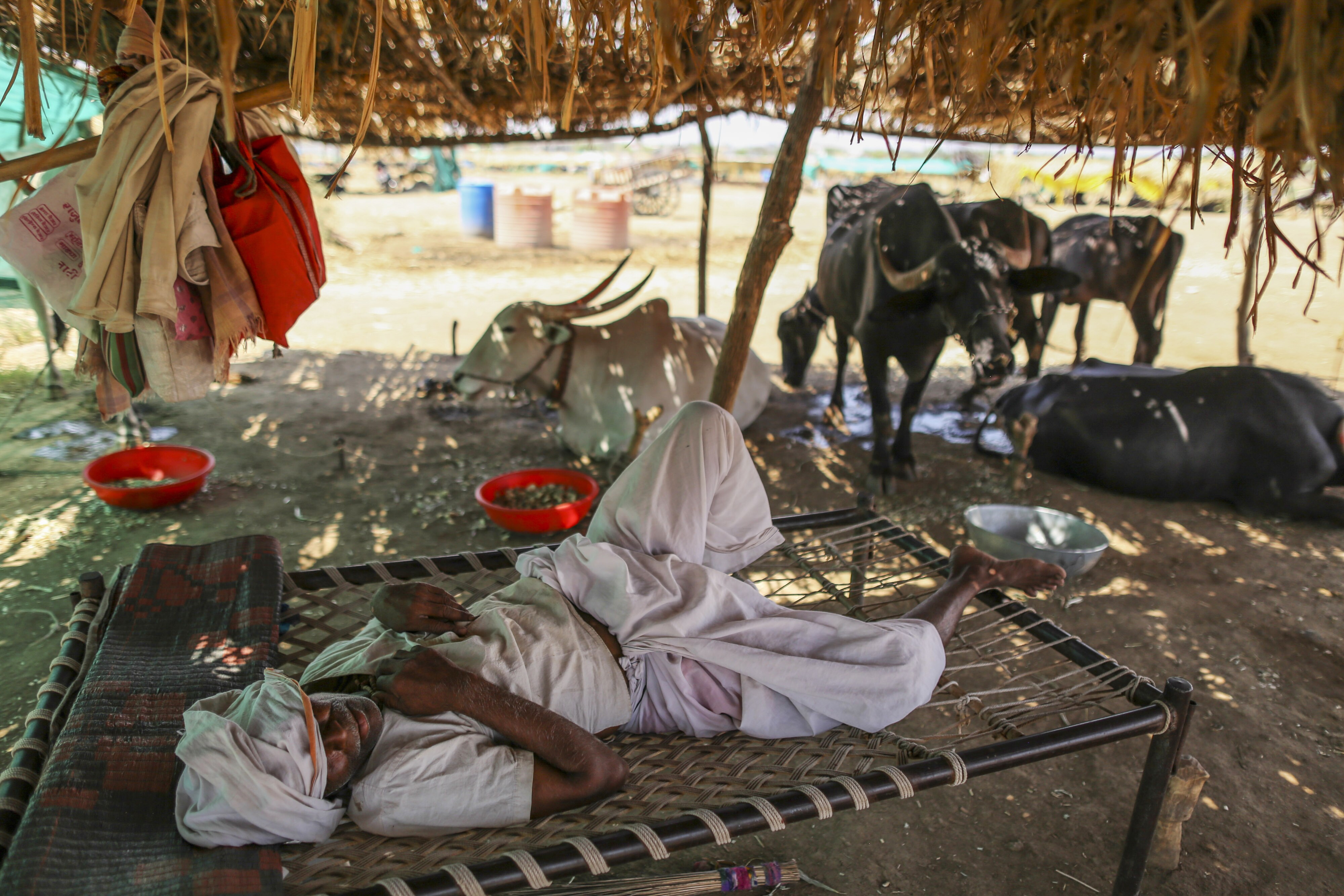 Indian Economy Shrank  31% Due To Global Warming, Study Shows