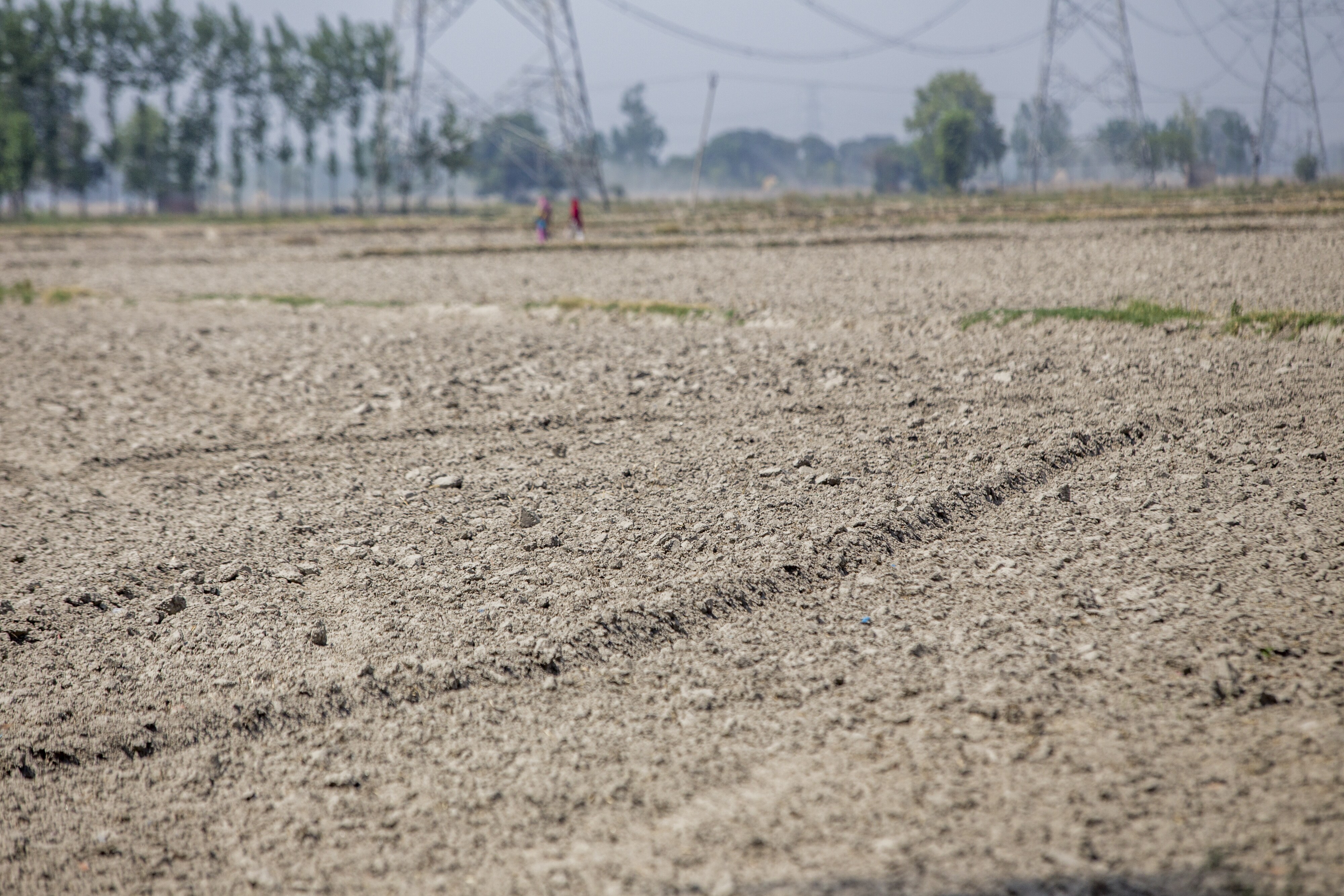 Nearly 50% Of India Currently Facing Drought: IIT Gandhinagar Scientists