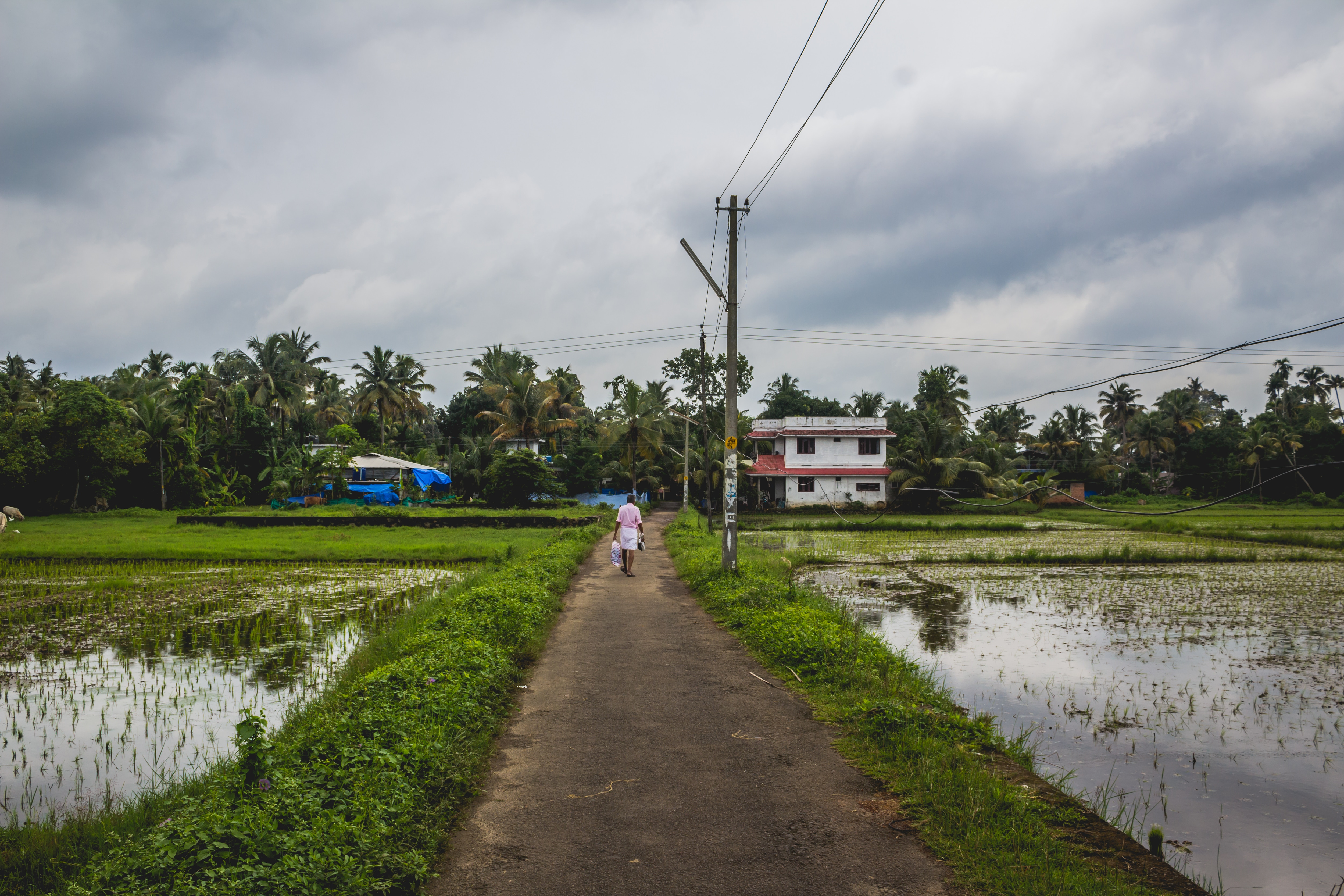 Budget 2024: Propping Up The Rural Economy Could Be Key