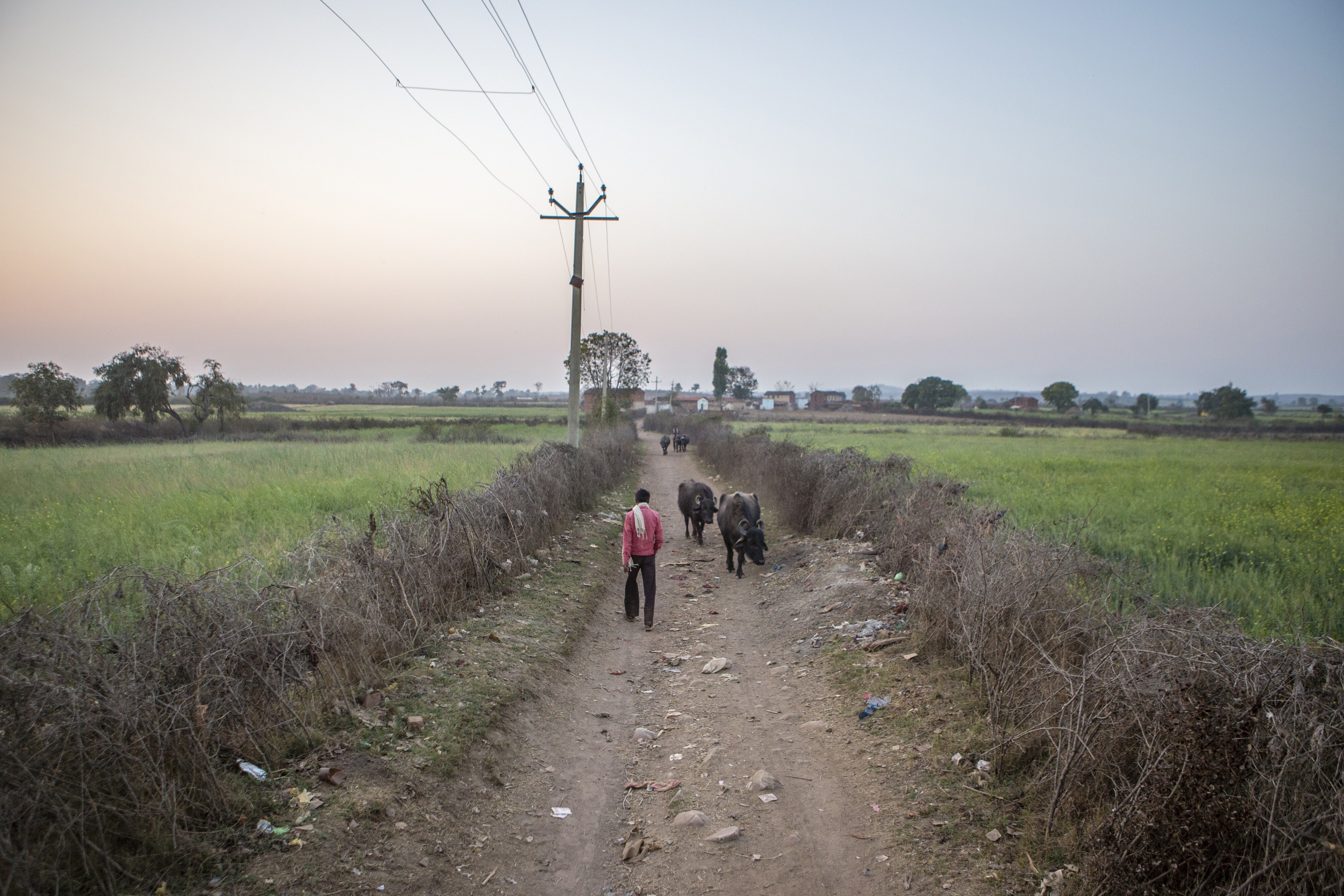 UP Government Announces Rs 36,359 Crore Farm Loan Waiver