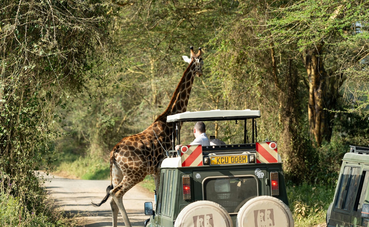 Latest and Breaking News on NDTV