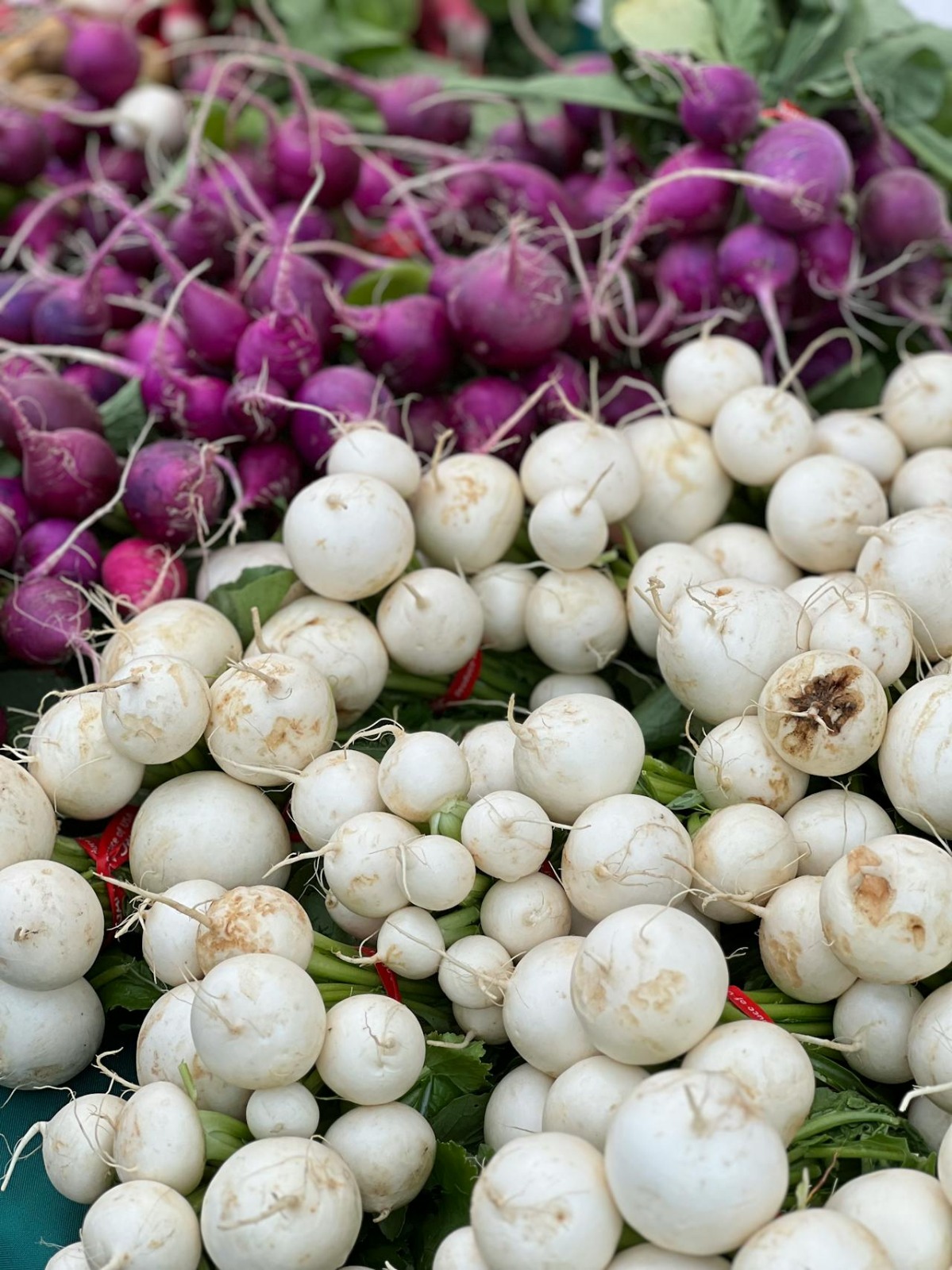 Surprising Health Benefits Of Radish