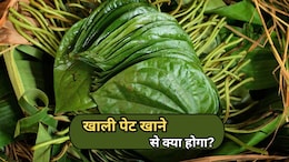 स्वाद ही नहीं सेहत का खजाना है पान का पत्ता, खाली पेट चबाने के ये 5 फायदे कर देंगे आपको हैरान