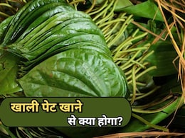 स्वाद ही नहीं सेहत का खजाना है पान का पत्ता, खाली पेट चबाने के ये 5 फायदे कर देंगे आपको हैरान