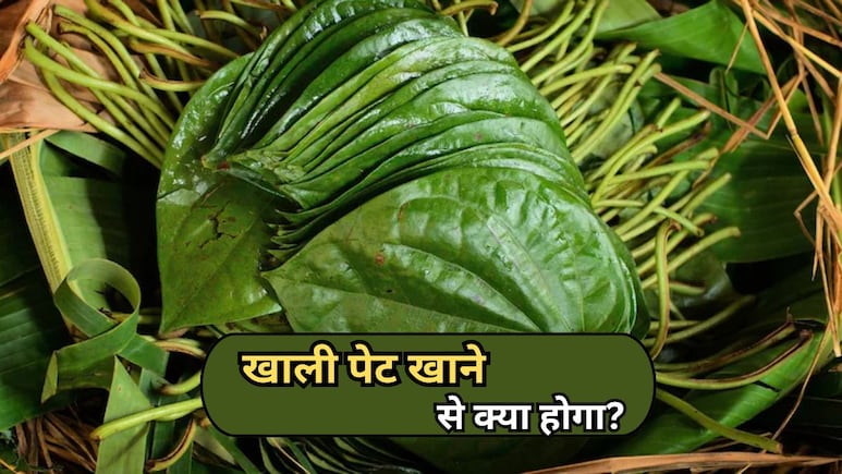 स्वाद ही नहीं सेहत का खजाना है पान का पत्ता, खाली पेट चबाने के ये 5 फायदे कर देंगे आपको हैरान