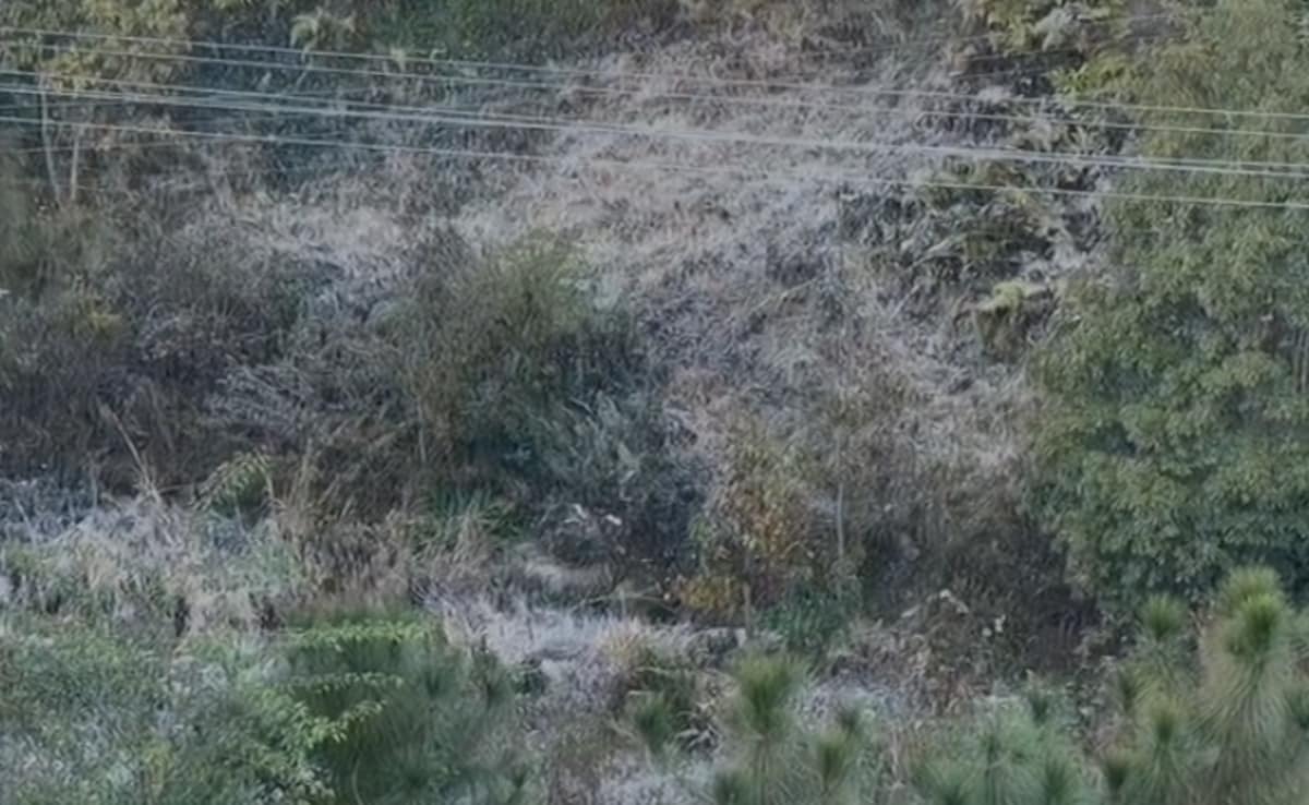 Latest and Breaking News on NDTV