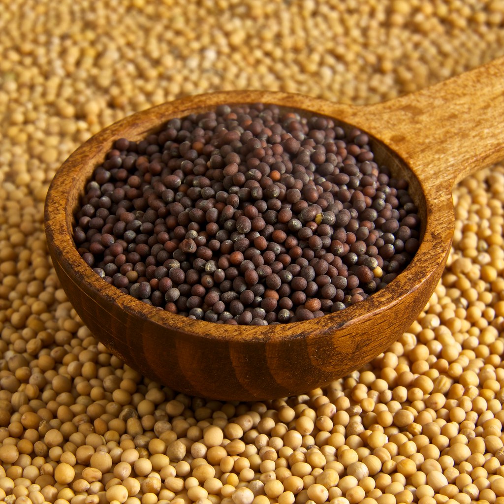 Can Adding Mustard Seeds To Your Diet Reduce Inflammation?
