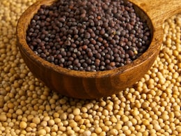 Can Adding Mustard Seeds To Your Diet Reduce Inflammation?
