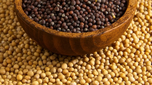 Mustard seeds offer a low-cost, accessible dietary addition for reducing inflammation in the body