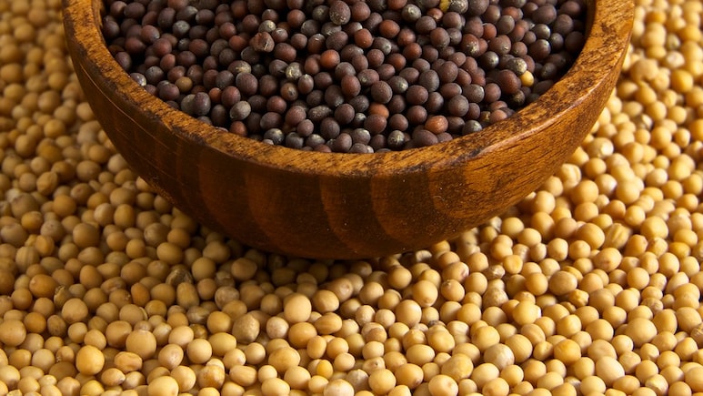 Can Adding Mustard Seeds To Your Diet Reduce Inflammation?