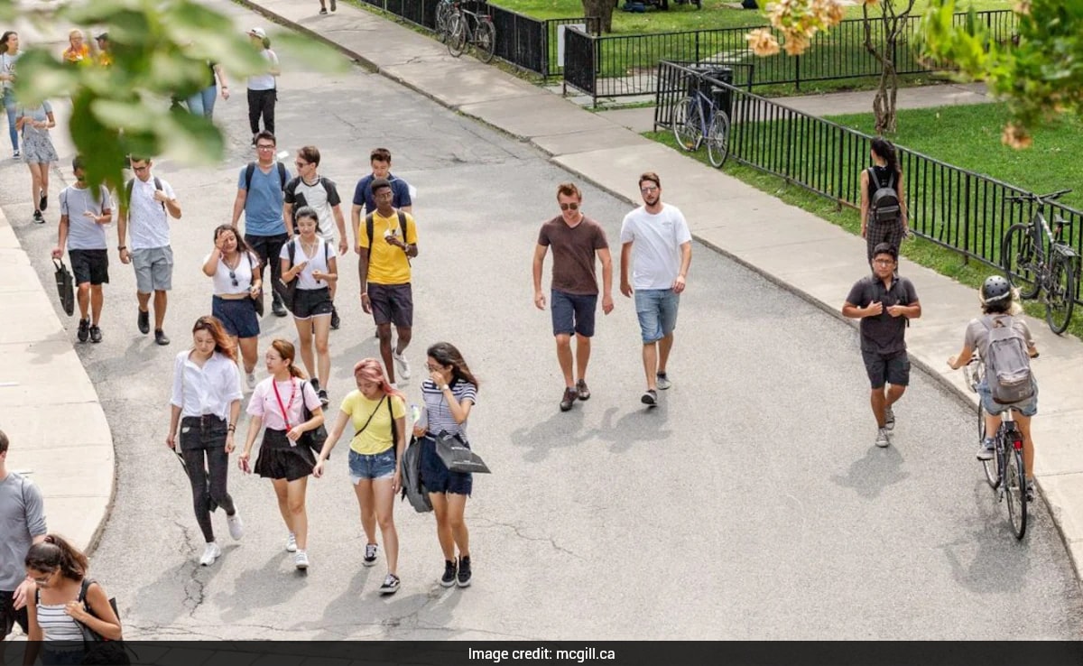 The Art of Baking: From Classic Bread to Artisan Pastries
