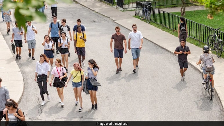 Why Indian Students Choose Canada: Survey Reveals What Matters Most