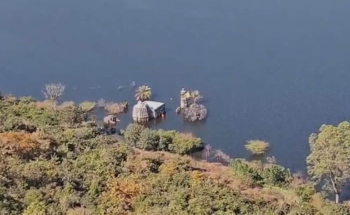 Latest and Breaking News on NDTV