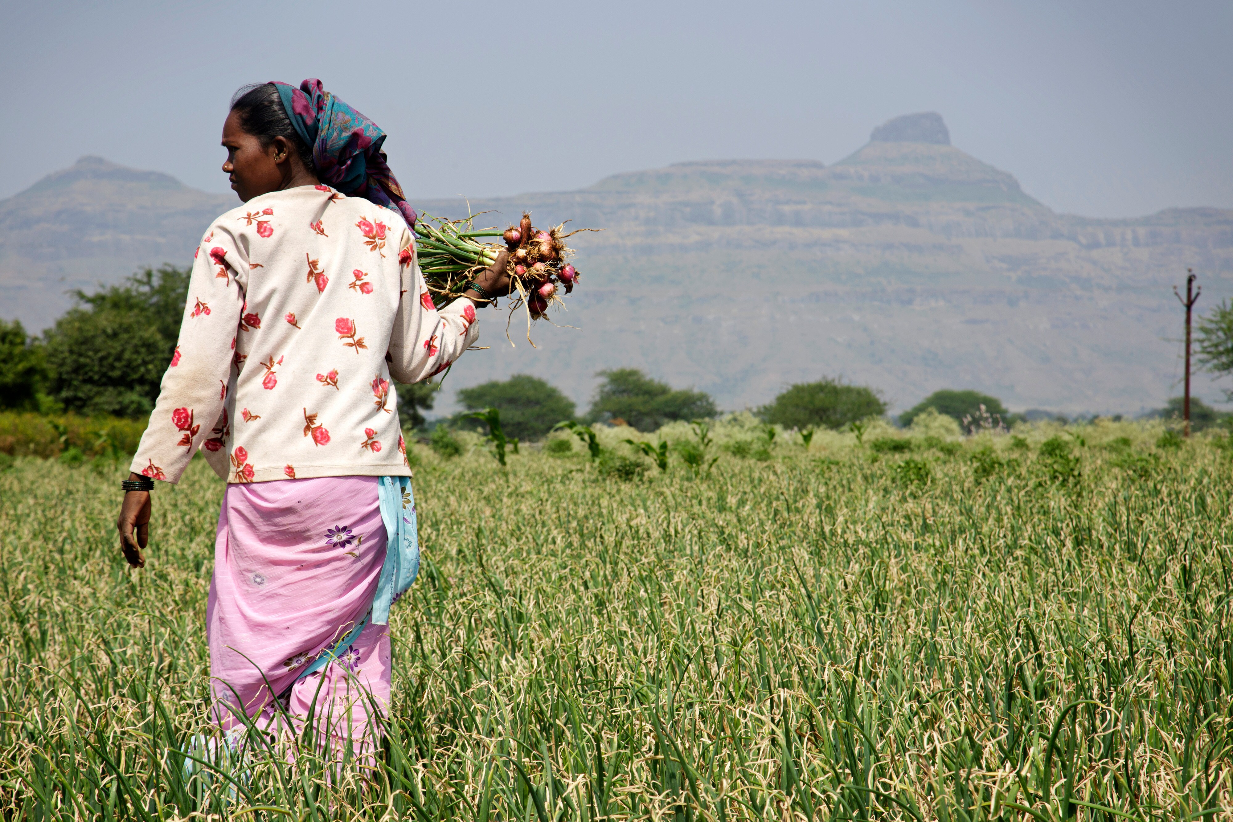 Union Budget 2018: Government To Raise Support Price For Kharif Crops