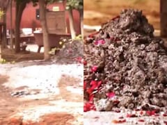 पांच बकरों की बलि दो, सोना और चांदी मिलेगी… सच जानकर उड़ जाएंगे होश