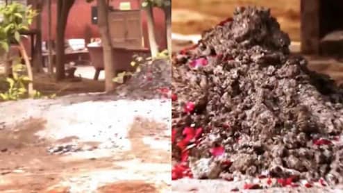 पांच बकरों की बलि दो, सोना और चांदी मिलेगी&hellip; सच जानकर उड़ जाएंगे होश