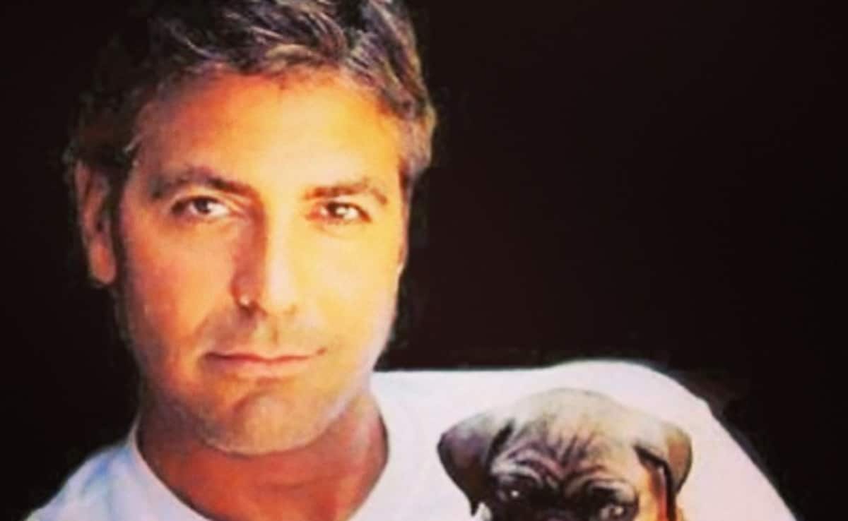 इस सुपरस्टार ने जब कायम की दोस्ती की मिसाल, मुश्किल दिनों में काम आए 14 दोस्तों को गिफ्ट किए 8-8 करोड़ कैश