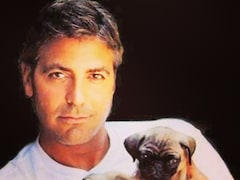 इस सुपरस्टार ने जब कायम की दोस्ती की मिसाल, मुश्किल दिनों में काम आए 14 दोस्तों को गिफ्ट किए 8-8 करोड़ कैश