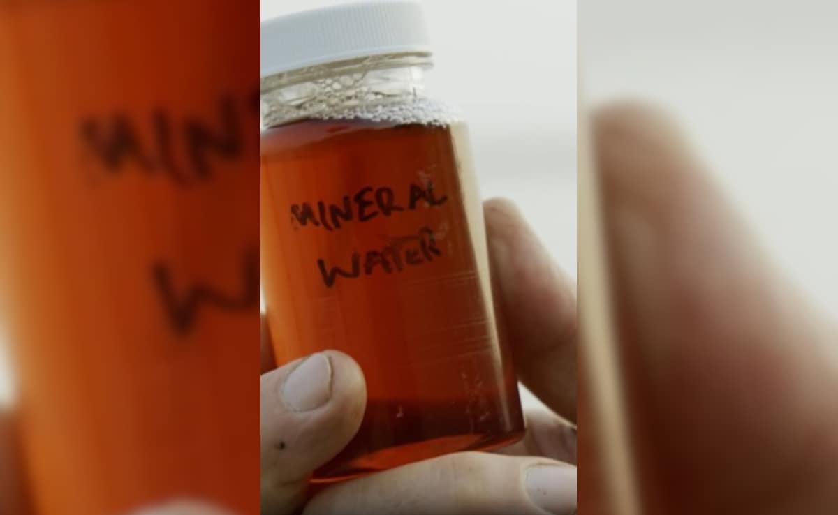 Latest and Breaking News on NDTV