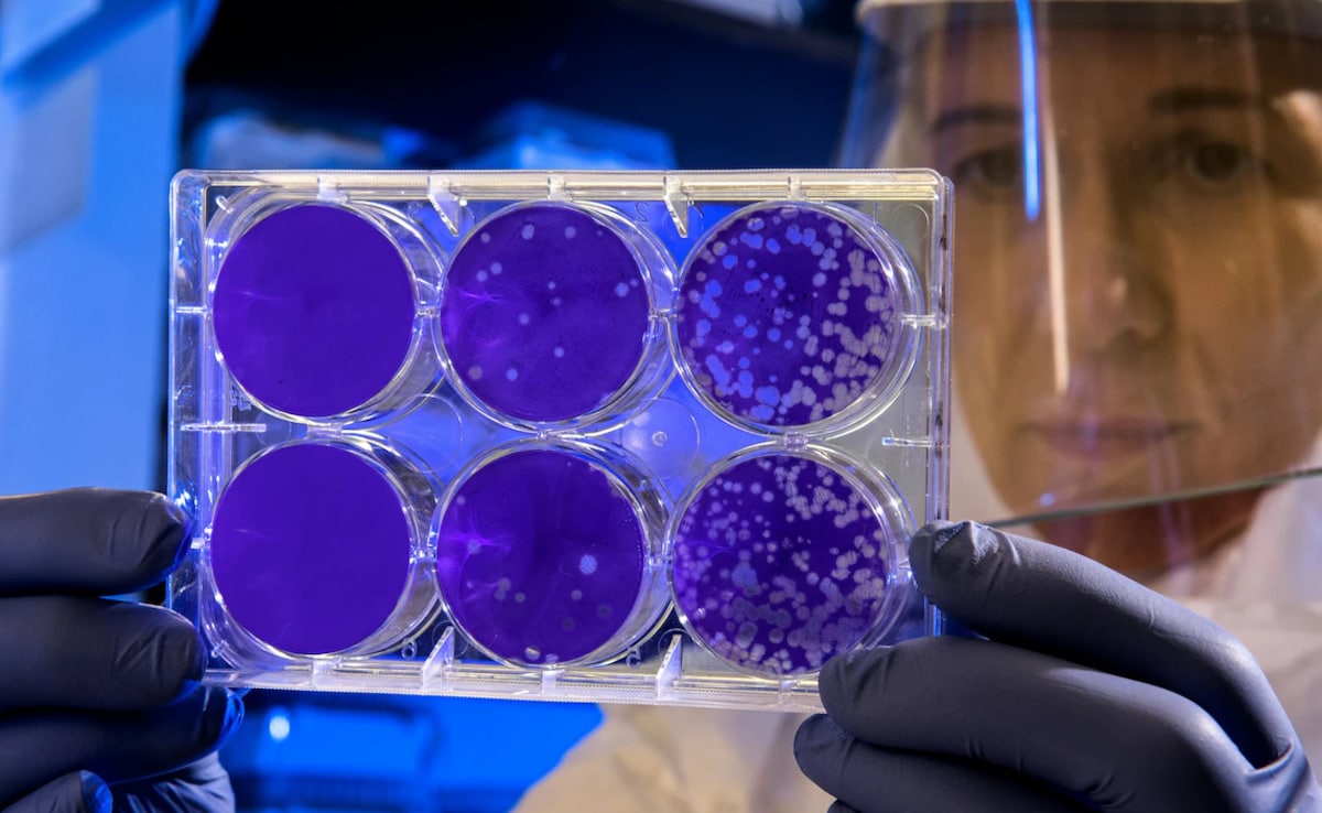 New COVID-19 Variant 'Cicada' Detected In 22 Countries: What We Know