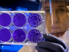 New COVID-19 Variant 'Cicada' Detected In 22 Countries: What We Know