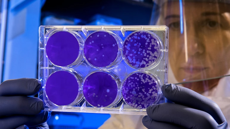 New COVID-19 Variant 'Cicada' Detected In 22 Countries: What We Know