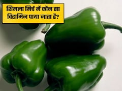 हरी शिमला मिर्च में कौन सा विटामिन पाया जाता है? किन बीमारियों में सेवन करना है फायदेमंद