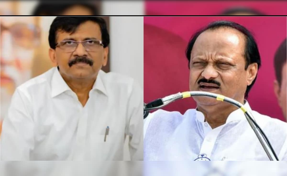 Shiv Sena Leader Sanjay Raut Urges Ajit Pawar To Merge NCP Factions