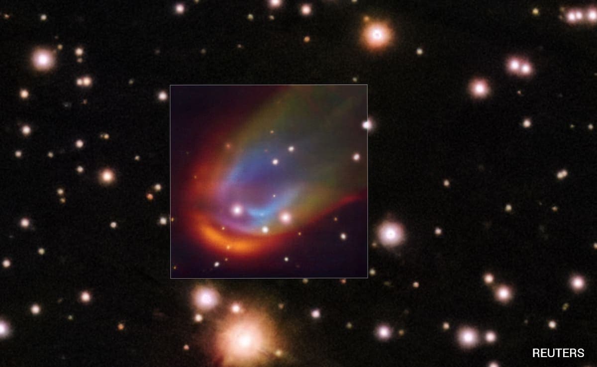 The Art of Baking: From Classic Bread to Artisan Pastries