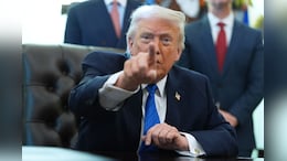 Trump Shares India Gate's Photo, Plans Washington's Triumphal Arch: 'Ours Will Be Greatest Of All'