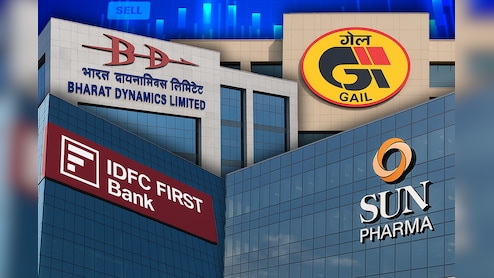Q3 Results Updates: IDFC First Bank, Sun Pharma, GAIL, Reliance Infra And CDSL Quarterly Earnings Today