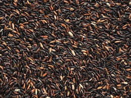 Why Black Rice Is Considered A "Superfood" And How To Cook It At Home