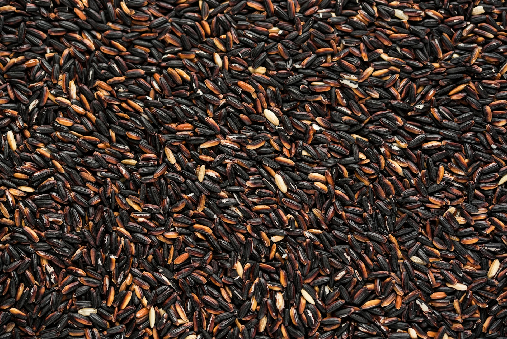 Why Black Rice Is A Superfood And How To Cook It At Home