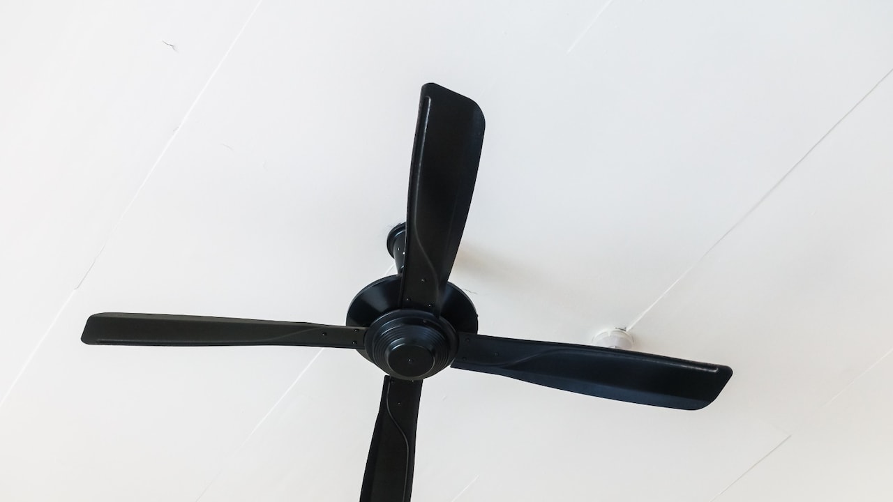 Top-rated BLDC ceiling fans offering energy-efficient airflow for modern homes Top-rated BLDC ceiling fans offering energy-efficient airflow for modern homes