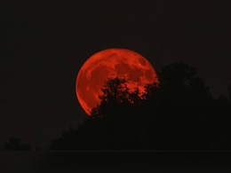 जब चांद होगा लाल और आसमान खामोश, इस साल 3 मार्च की रात क्या होने वाला है?