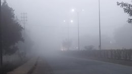 3, 4, 4.5 और 5 ये गिनती नहीं, MP के शहरों का डिग्री में तापमान है, IMD का अलर्ट... कोहरा और ठंड जारी रहेगी