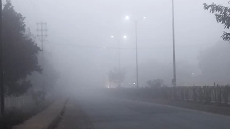 3, 4, 4.5 और 5 ये गिनती नहीं, MP के शहरों का डिग्री में तापमान है, IMD का अलर्ट... कोहरा और ठंड जारी रहेगी