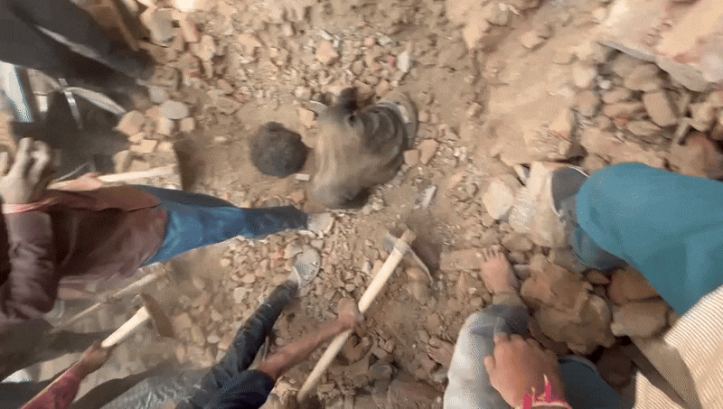 Latest and Breaking News on NDTV