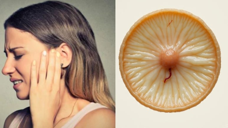 अब बिना सर्जरी ठीक होगा कान का पर्दा, रूस में सेल-बेस्ड तकनीक का क्लिनिकल ट्रायल शुरू