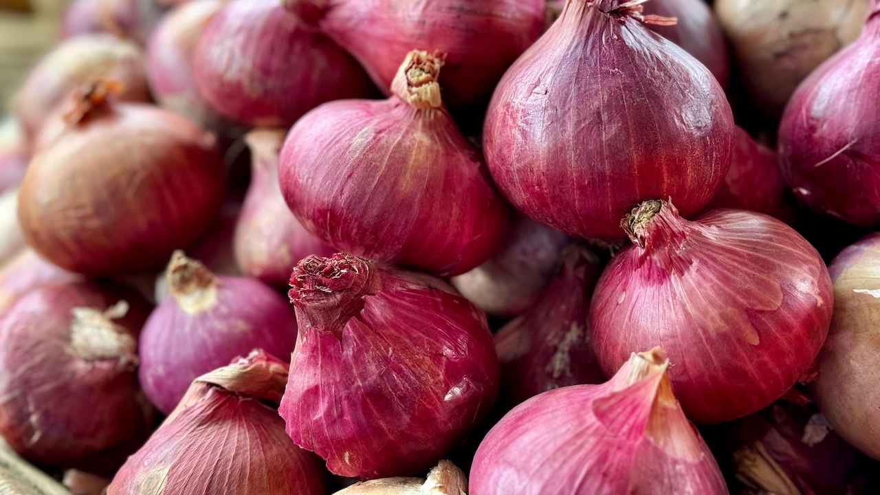 Govt Hikes Onion Procurement Price By 13% To Rs 2,125/Quintal, 5th Revision This Season