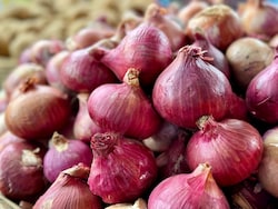 Govt Hikes Onion Procurement Price By 13% To Rs 2,125/Quintal, 5th Revision This Season