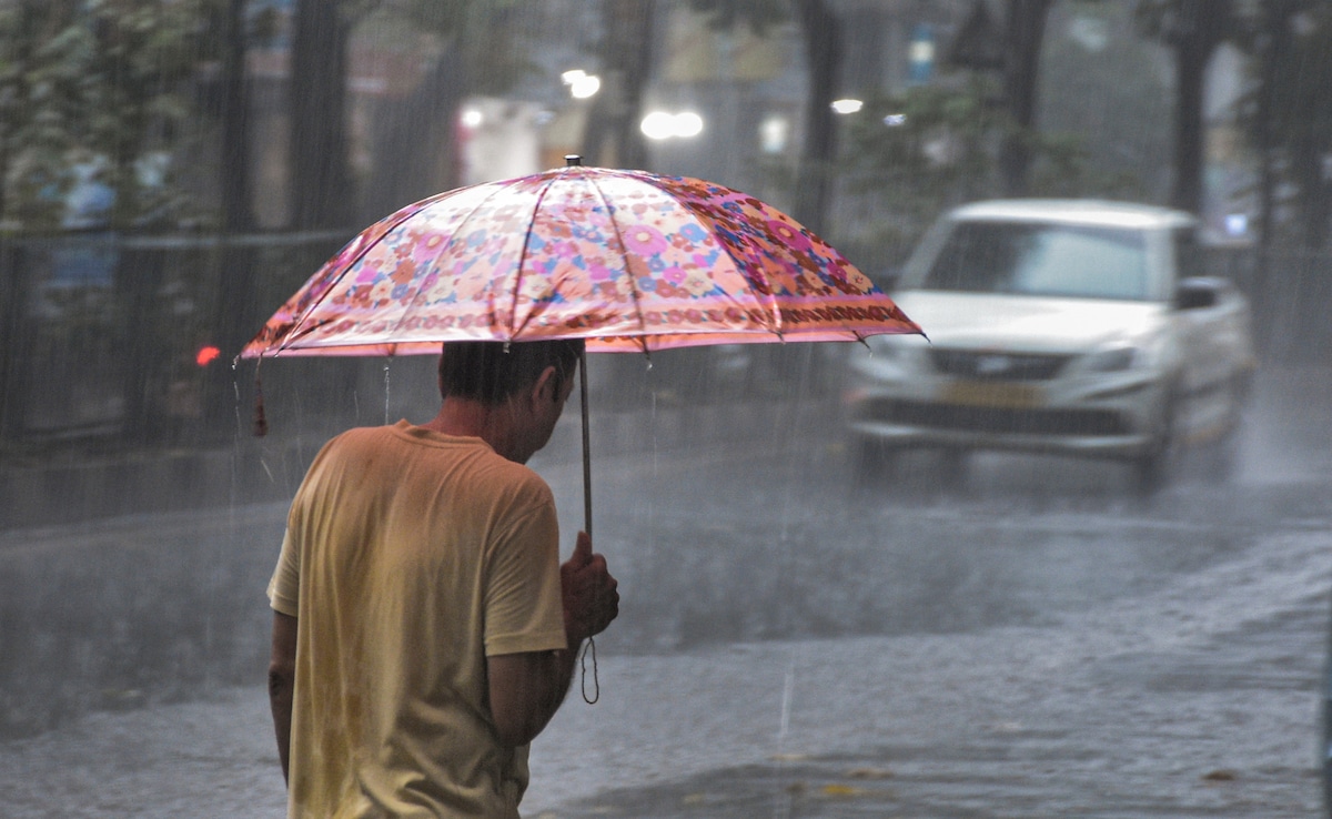 Weather Alert: IMD Warns Of Thunderstorms, Gusty Winds In Delhi-NCR