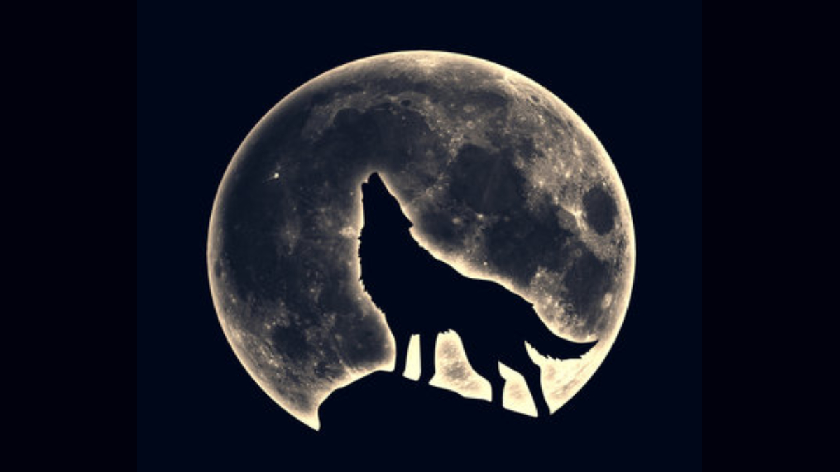 Wolf Moon 2026: पौष पूर्णिमा पर आसमान में दिखेगा 'वूल्फ मून' का खास नजारा, कब और कैसे देखें, जानें यहां