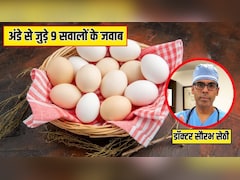 क्या नाश्ते में अंडे खाने चाहिए, Egg खाने से वजन बढ़ता है या घटता है? AIIMS के डॉक्टर ने दिए अंडे से जुड़े 9 सवालों के जवाब