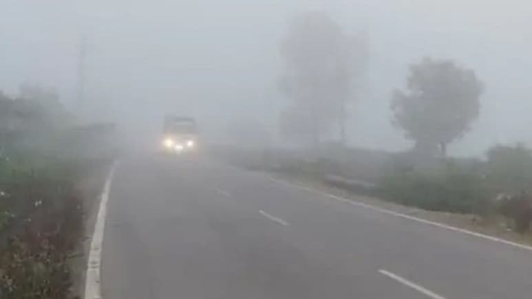 Rajasthan Winter: राजस्थान में कोहरे का पहरा, अलाव बना सहारा, अगले 48 घंटे इन जिलों पर भारी