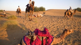Rajasthan Tour Package: बिना प्लानिंग की टेंशन, शाही सफर का मजा, RTDC के साथ 8 दिन में देखें असली राजस्थान