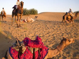 Rajasthan Tour Package: बिना प्लानिंग की टेंशन, शाही सफर का मजा, RTDC के साथ 8 दिन में देखें असली राजस्थान