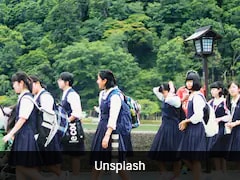 Indian Teacher In Japan Praises Work Culture: 