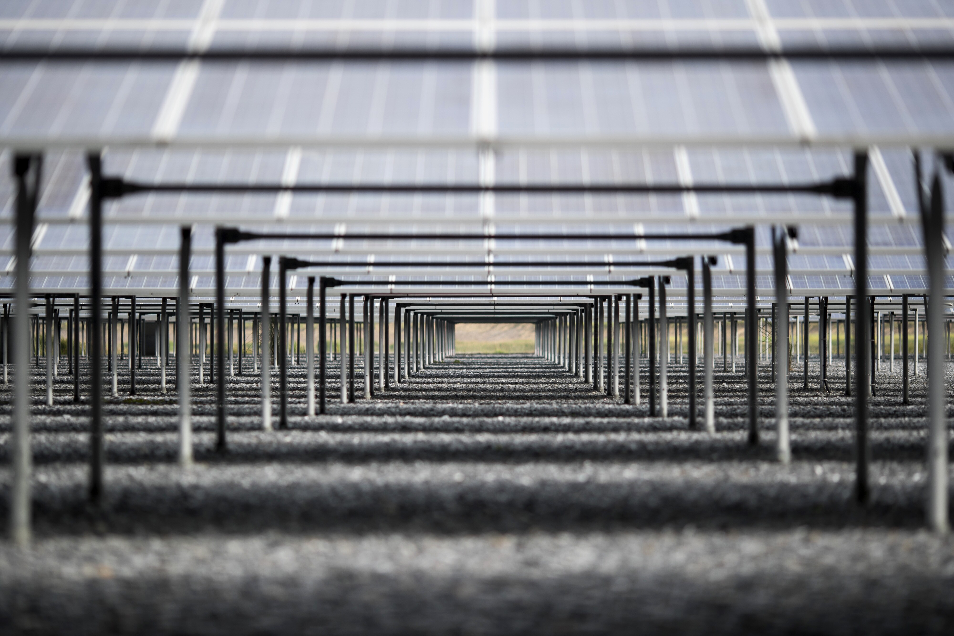 Chinese Imports, Divided Industry Cast Shadow On Solar Power